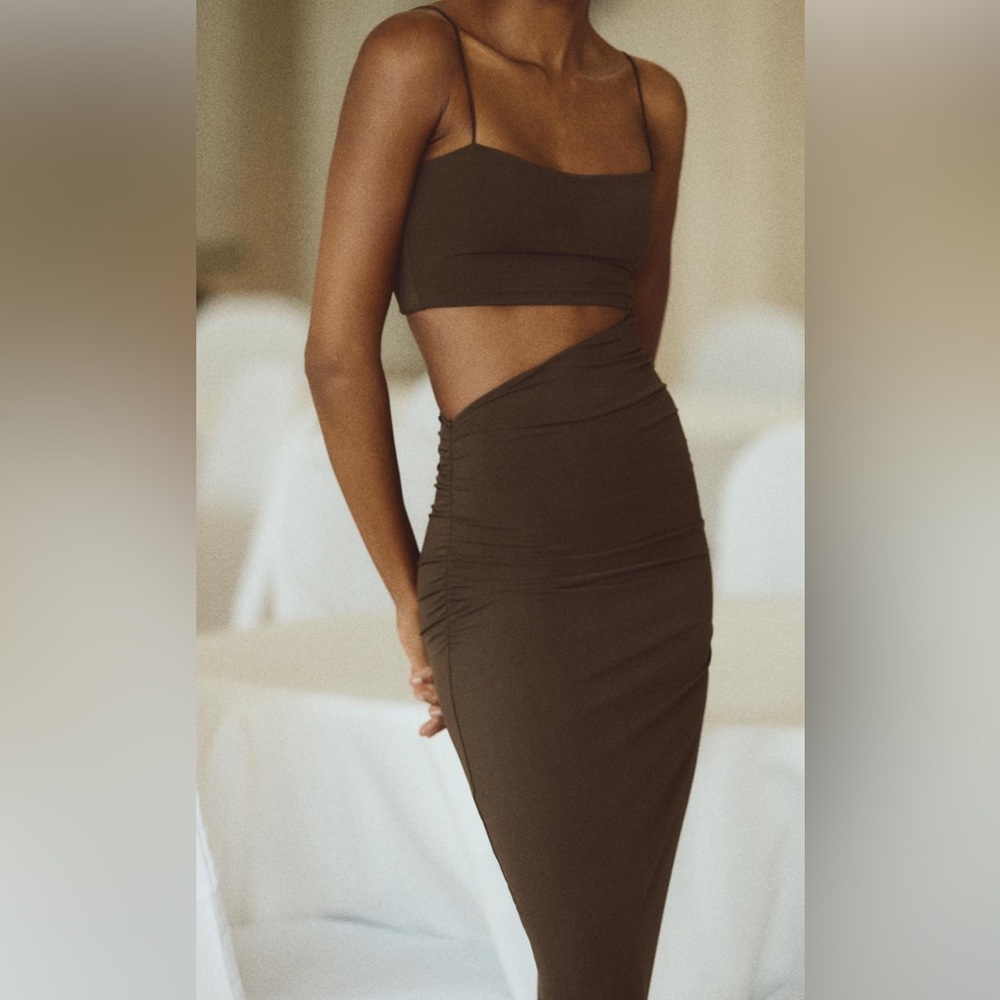 Brown Zara dress